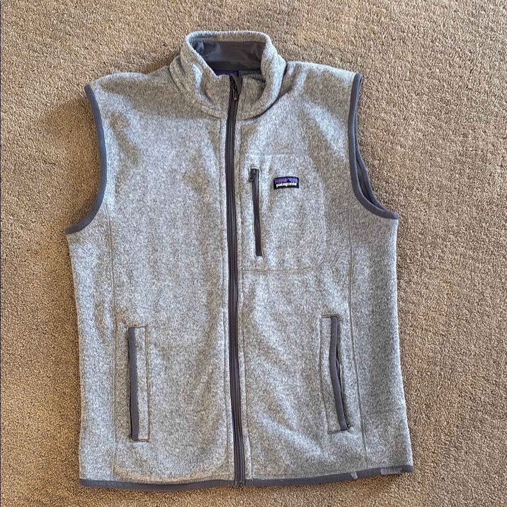 Patagonia Gray Fleece Vest
